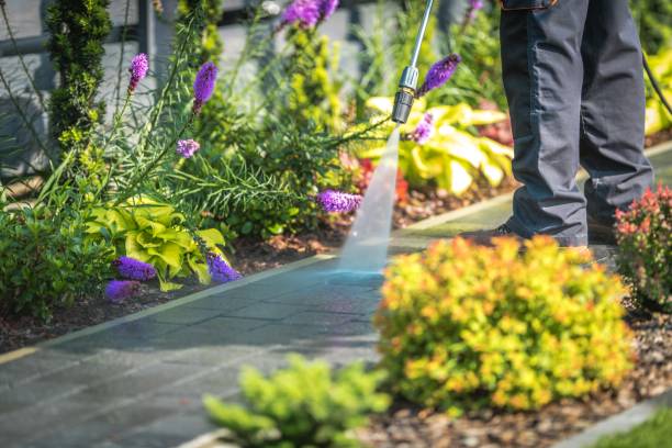 Best Restaurant Pressure Washing  in Rushvle, IL